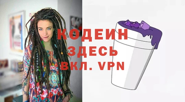 индика Лабытнанги