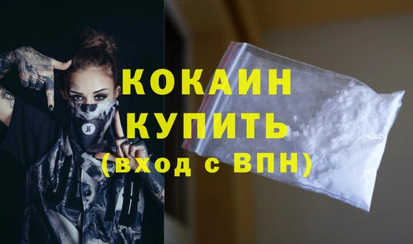 индика Лабытнанги