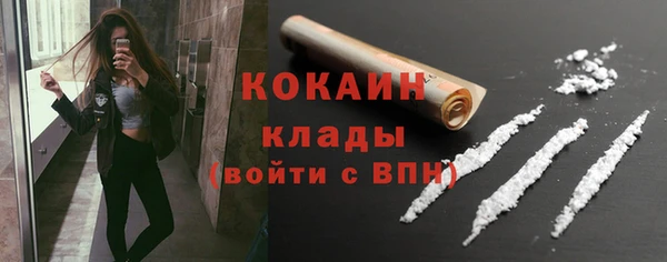 индика Лабытнанги
