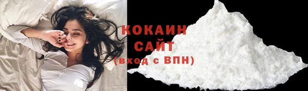 индика Лабытнанги