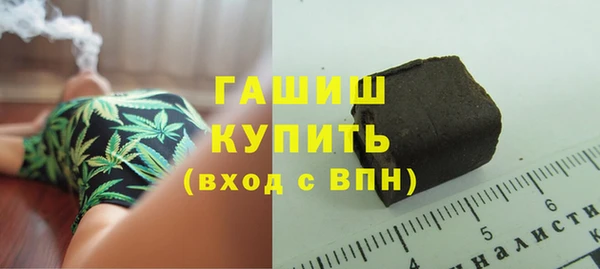 индика Лабытнанги