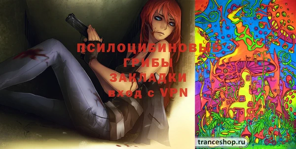 индика Лабытнанги
