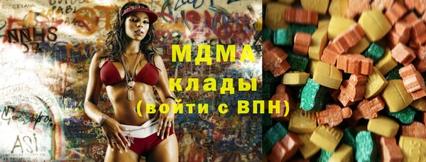 индика Лабытнанги