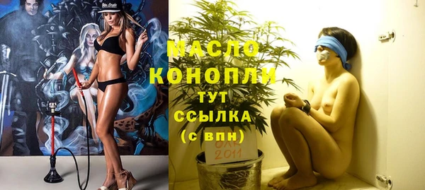 индика Лабытнанги