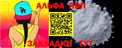 стафф Гай