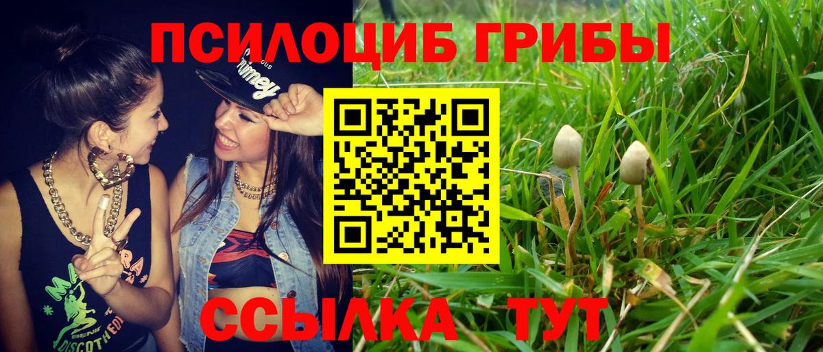 Псилоцибиновые грибы MAGIC MUSHROOMS  Галлюциногенные грибы MAGIC MUSHROOMS  Ярцево 
